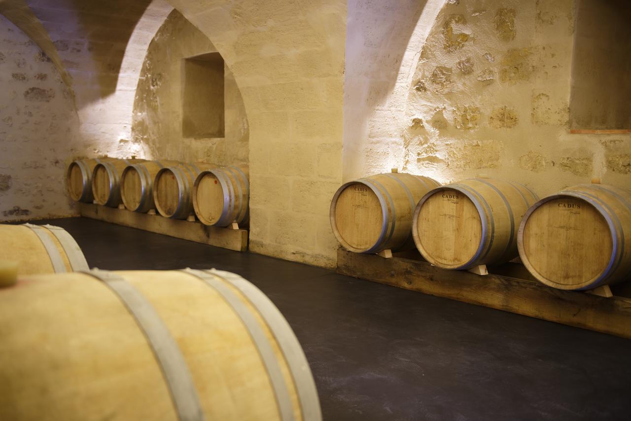 Tabanac Chambres D'Hotes De Chateau Renon المظهر الخارجي الصورة
